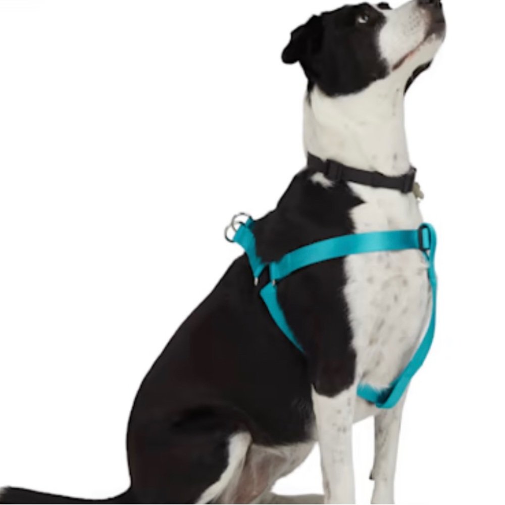 Lot of 2 YOULY Dog Harness"The Classic" & "The Wanderer" Size Medium NWT